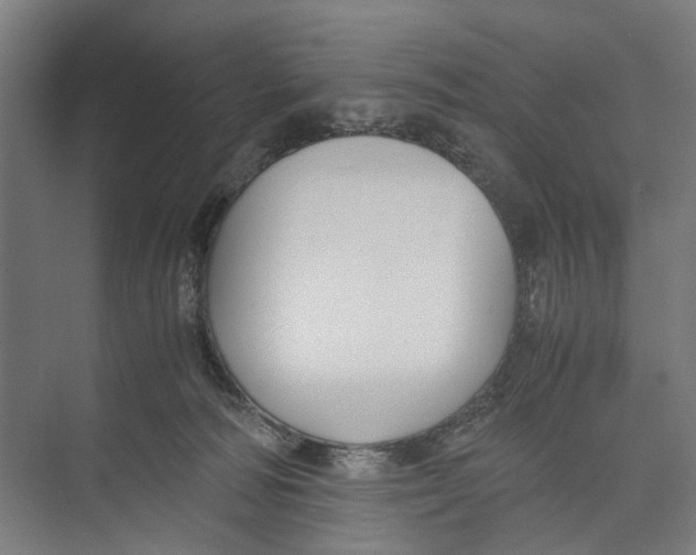 X0000071900226200608041351