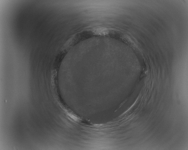 X0000071900229200608041351