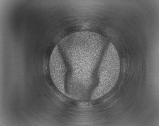 X0000071900230200608041351