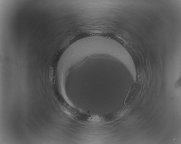 X0000071900231200608041351