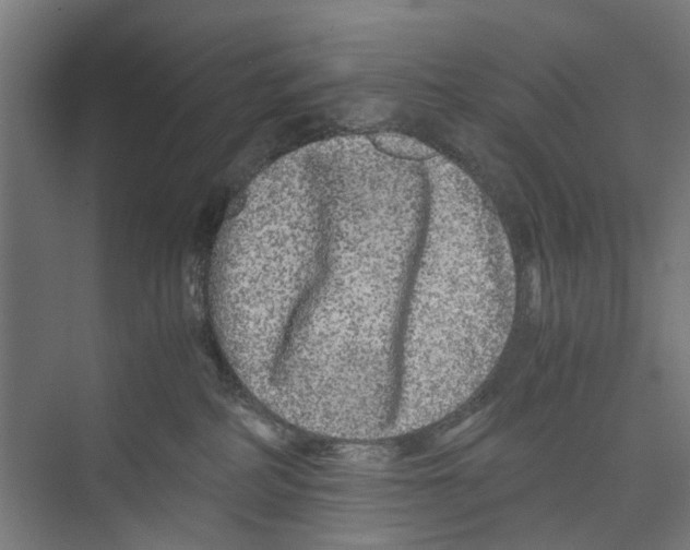 X0000071900234200608041351