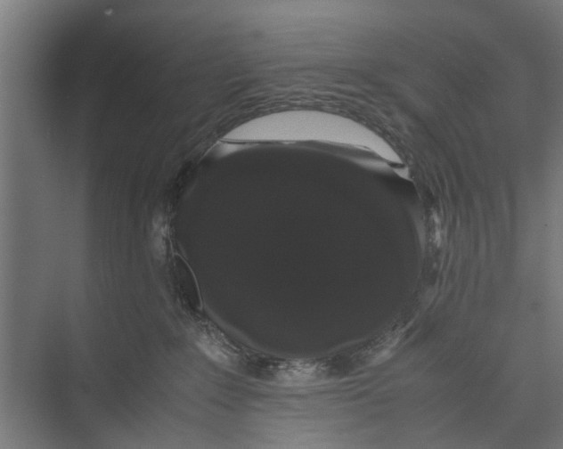 X0000071900235200608041351