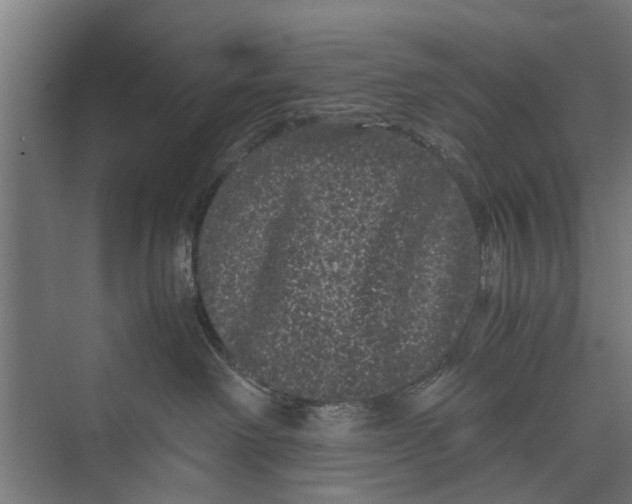 X0000071900238200608041351