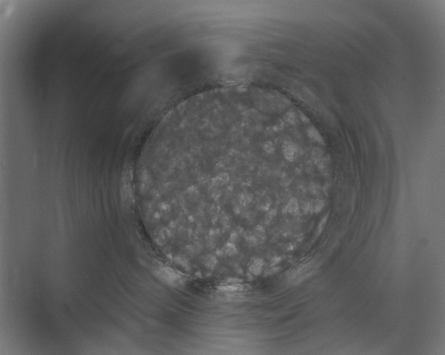 X0000071900240200608041351