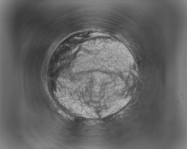 X0000071900241200608041350