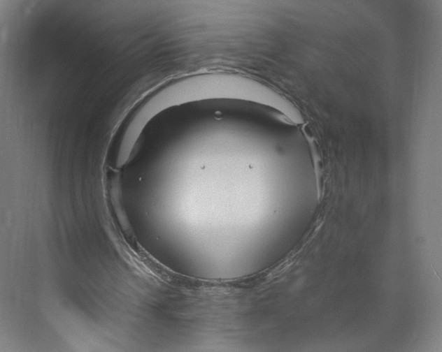 X0000071900242200608041350