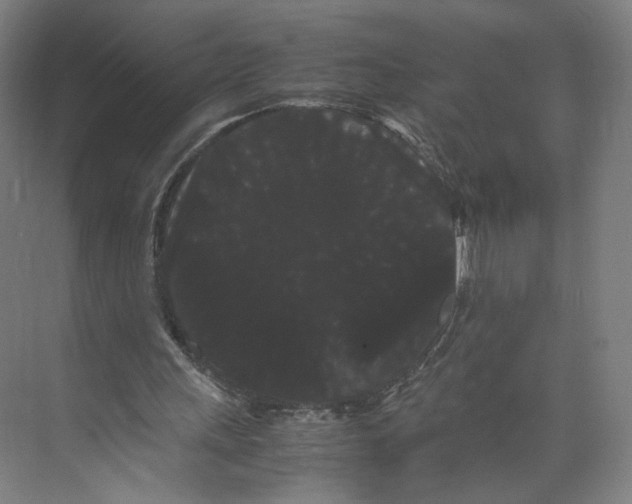 X0000071900243200608041350