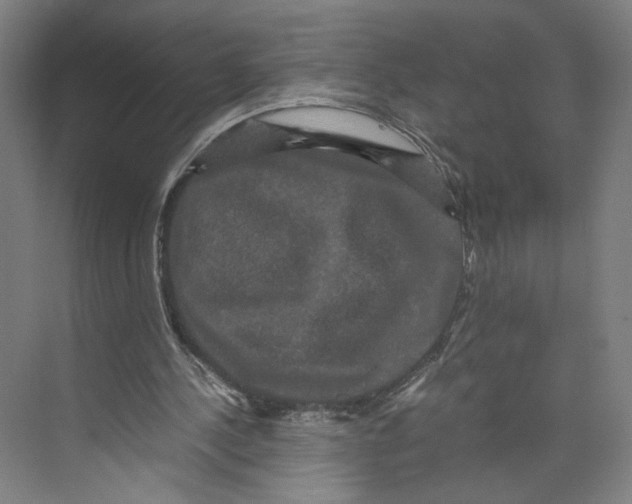 X0000071900244200608041350