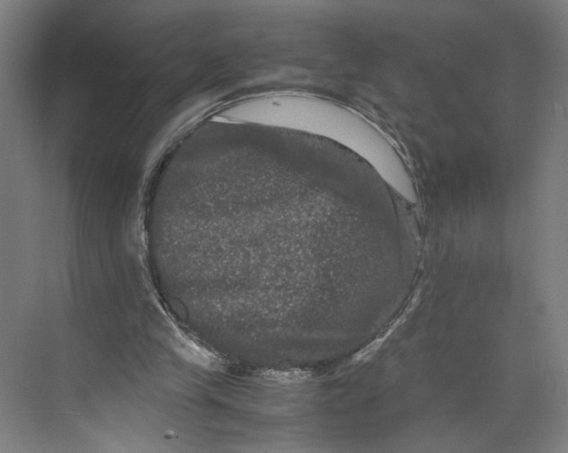 X0000071900245200608041350