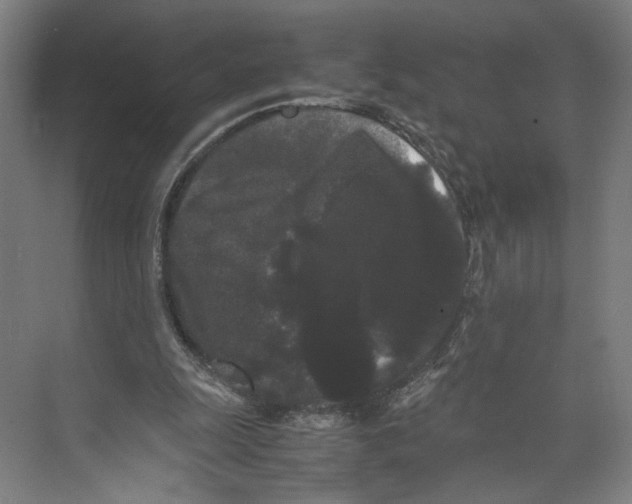 X0000071900247200608041350