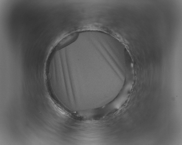 X0000071900248200608041350