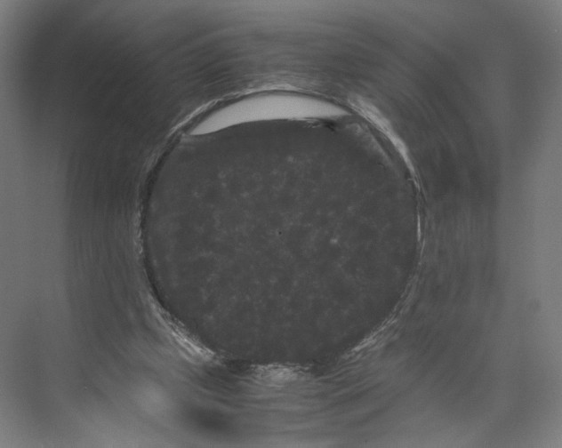 X0000071900249200608041350