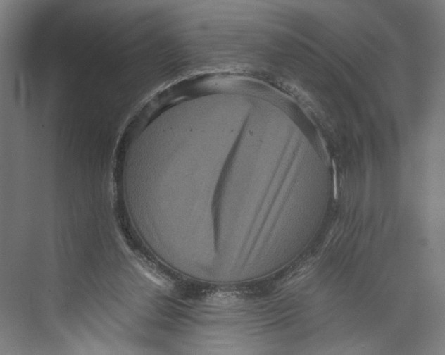 X0000071900252200608041350