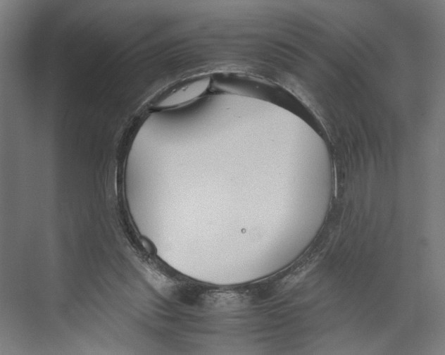 X0000071900253200608041350