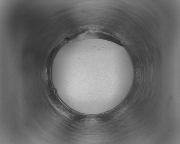 X0000071900254200608041350