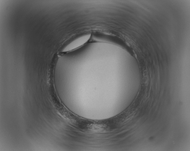 X0000071900255200608041350