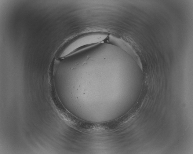 X0000071900256200608041350