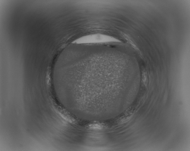 X0000071900259200608041350