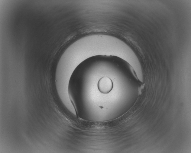 X0000071900260200608041350