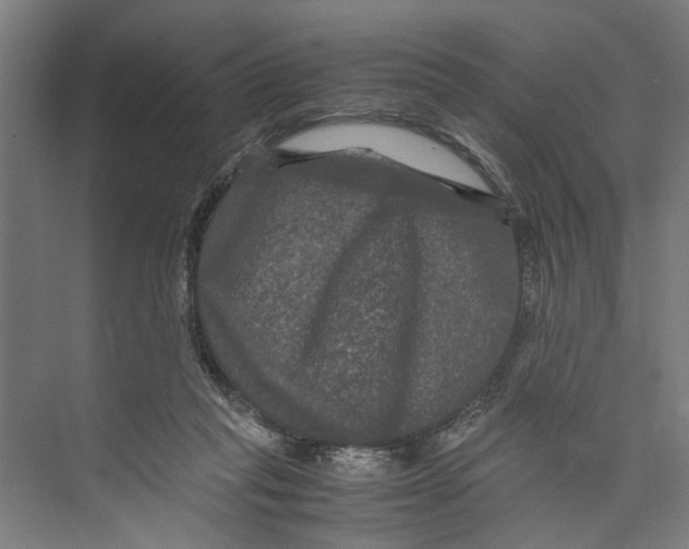 X0000071900261200608041350