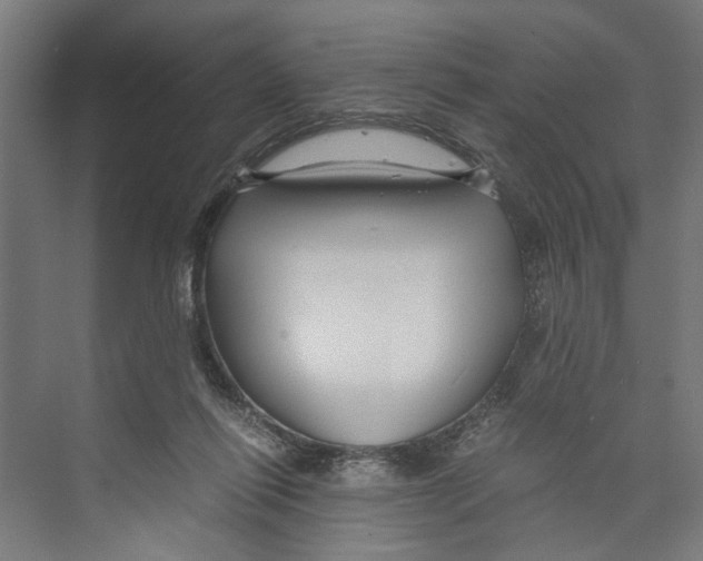 X0000071900262200608041350