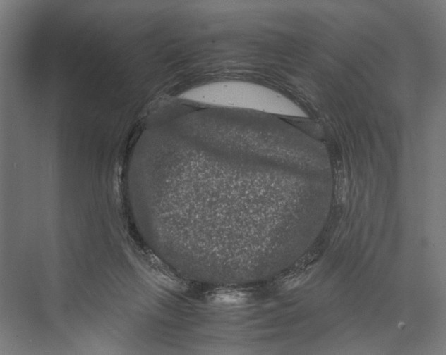 X0000071900263200608041350