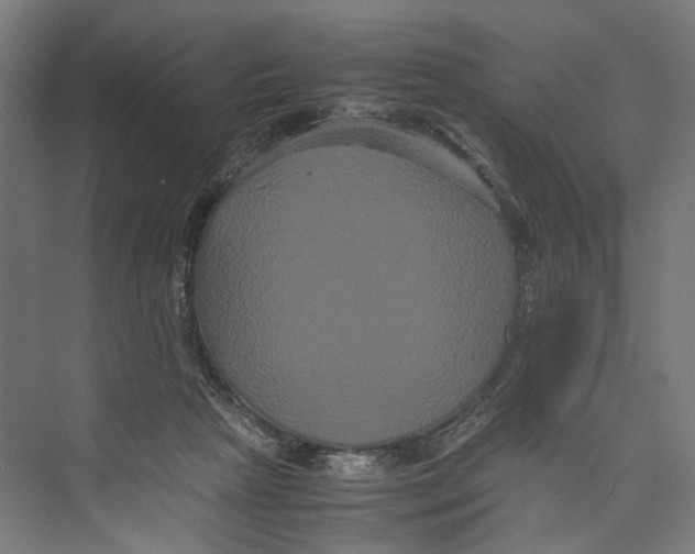 X0000071900265200608041350