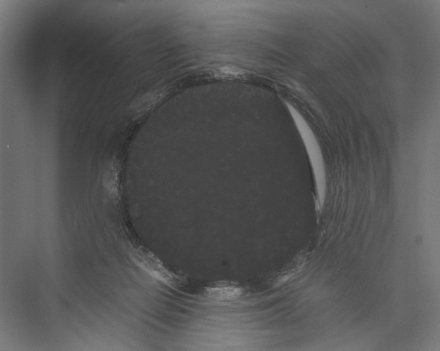 X0000071900266200608041350