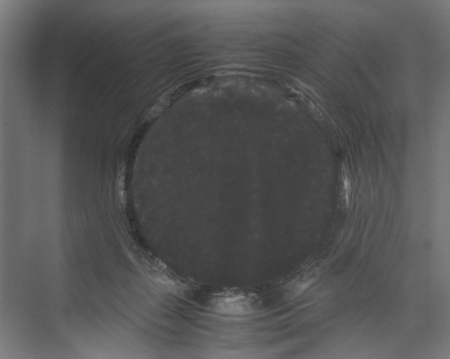 X0000071900267200608041350