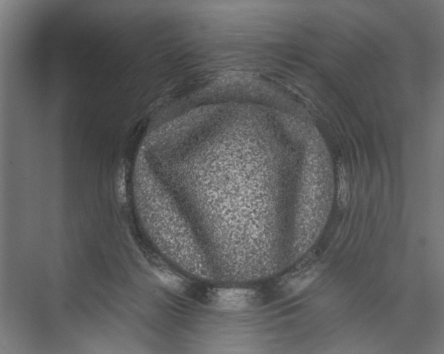 X0000071900268200608041350