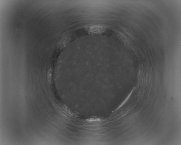 X0000071900271200608041350