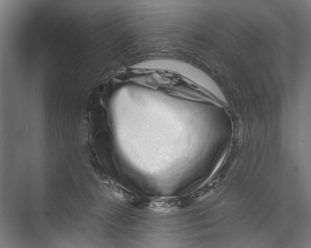 X0000071900272200608041350