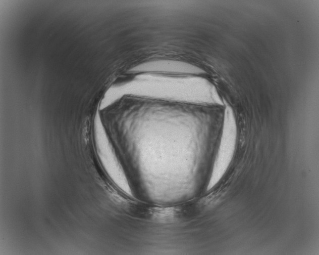 X0000071900273200608041350