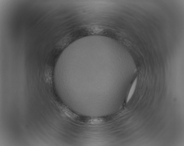 X0000071900274200608041350