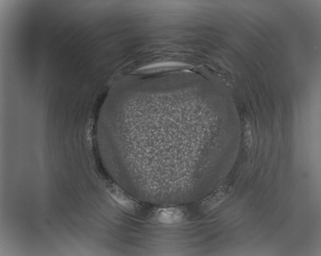 X0000071900275200608041351