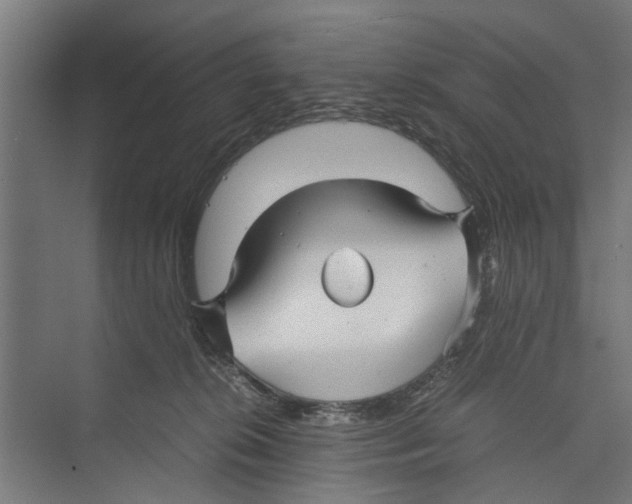 X0000071900276200608041351