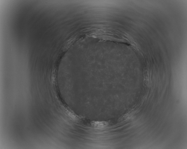 X0000071900277200608041351