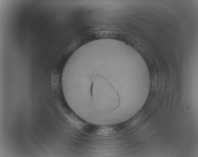 X0000071900278200608041351