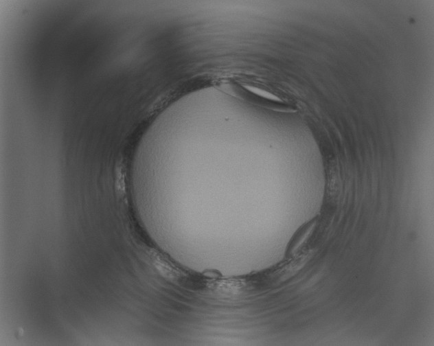 X0000071900282200608041351