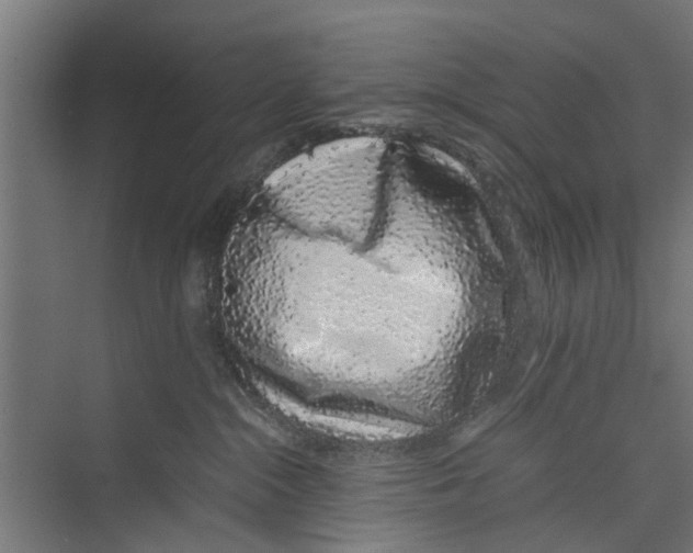 X0000071900284200608041351