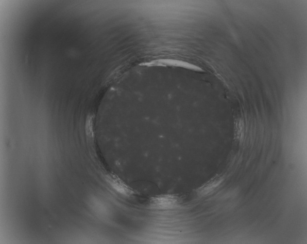 X0000071900286200608041351