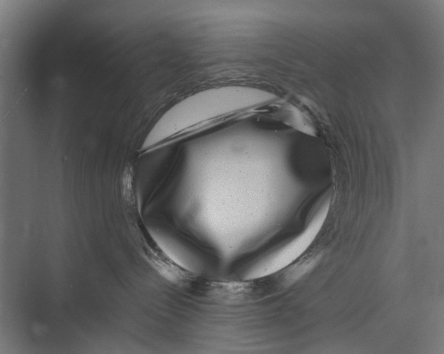 X0000071900288200608041351