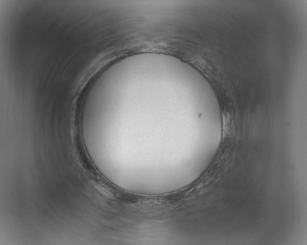 X0000071900291200608041350