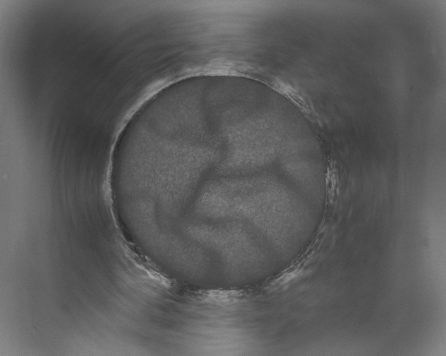 X0000071900292200608041350