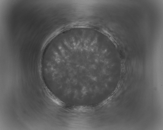 X0000071900293200608041350