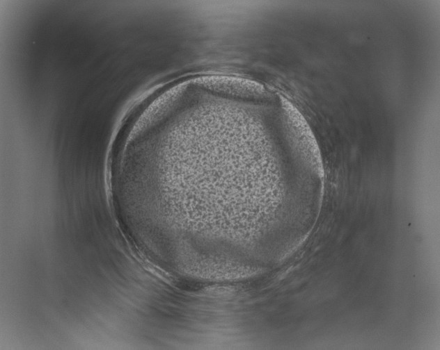 X0000071900294200608041350