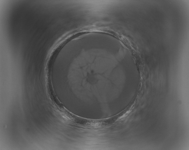 X0000071900295200608041350