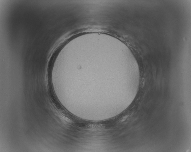 X0000071900296200608041350