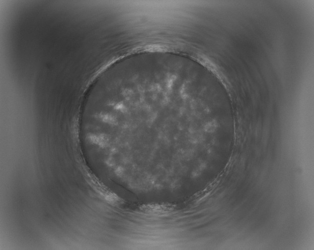 X0000071900297200608041350