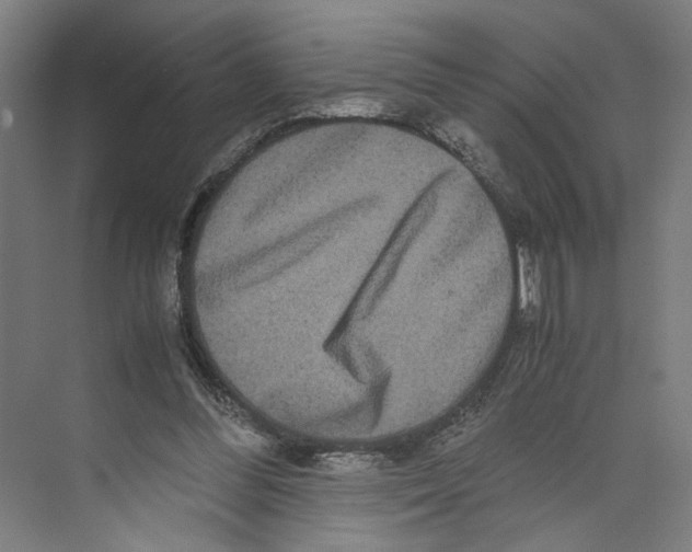 X0000071900300200608041350